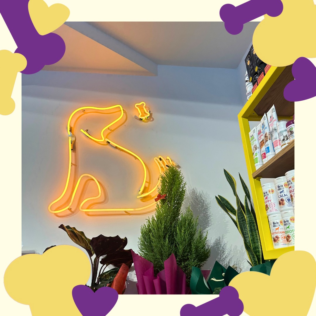 475275459_122154049814332664_426008803362858604_n